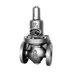 RD-14 Model Series - Pressure Reducing Valve (for Cold Water/Warm Water/Air/Oil) (RD14H-BL-100A) 