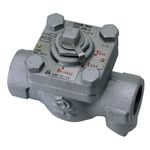 ATB-5 Type Steam Trap with Bypass (Triple Function) (ATB5-G-20A) 