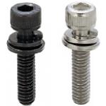 Screws with Captured Washer