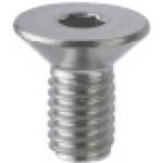 Hex Socket Flat Head Cap Screws Image