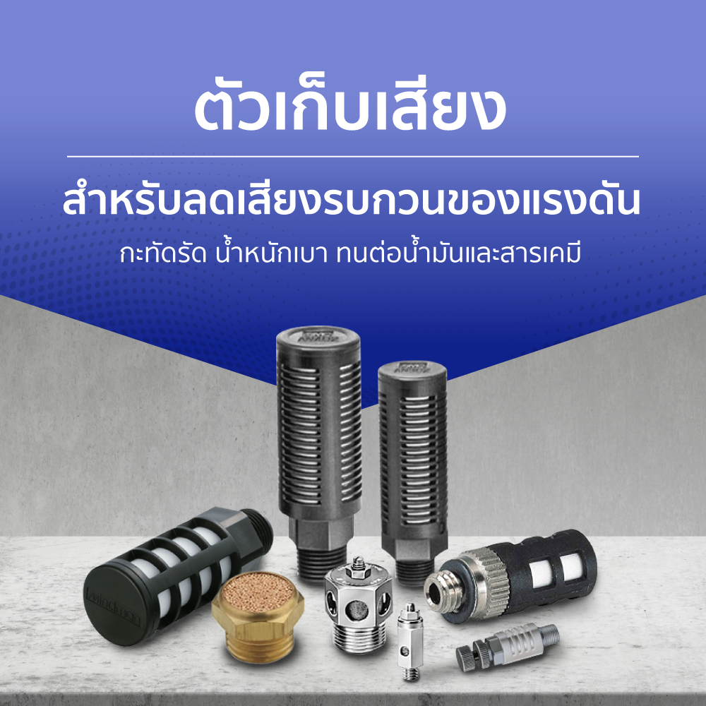 ตัวเก็บเสียง ใช้ลดเสียงรบกวนของแรงดัน