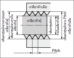 เกลียวตัวผู้และเกลียวตัวเมีย