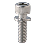 Socket Head Cap Screws