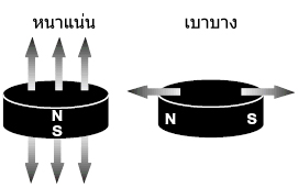 ทิศทางแม่เหล็ก