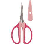 Craft Scissors
