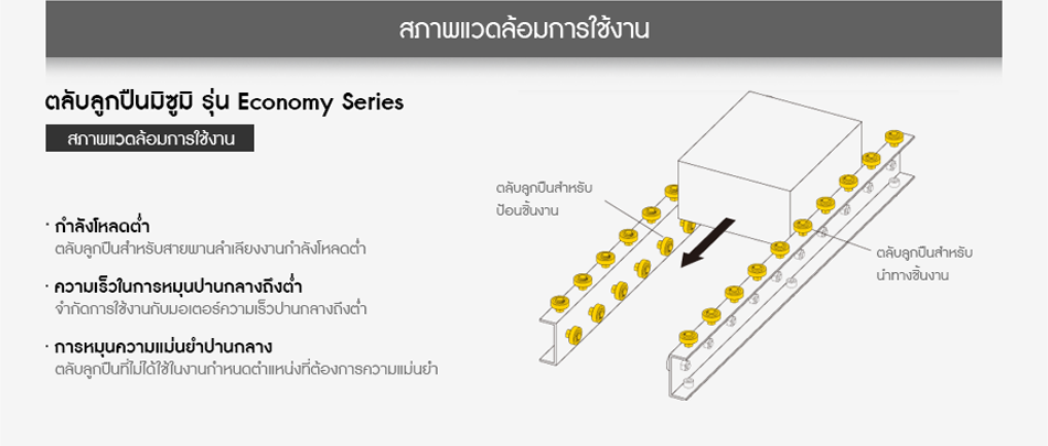 สภาพแวดล้อมการใช้งาน