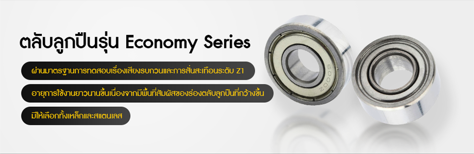 ตลับลูกปืนรุ่น Economy Series