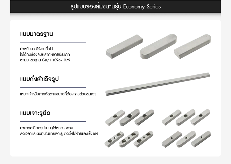 รูปแบบของลิ่มขนานรุ่น Economy Series