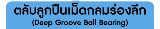 ตลับลูกปืนเม็ดกลมร่องลึก (Deep Groove Ball Bearing)