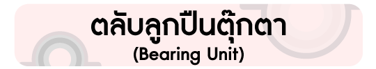 ตลับลูกปืนตุ๊กตา (Bearing Unit)