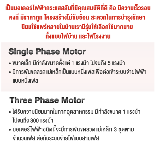 Induction Motor