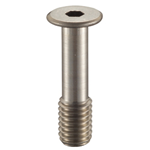Hex Socket Low Head Screw SSCHS Series