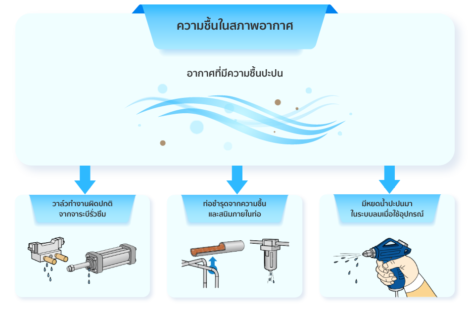 ปัญหาที่เกิดจากน้ำ และความชื้น