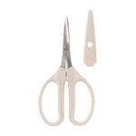 Craft Scissors
