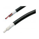 Earthquake Resistant