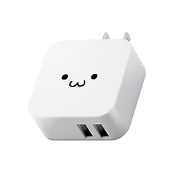 AC Charger (2 USB Ports / 2.4 A)