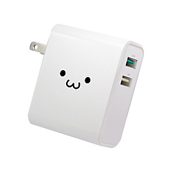AC Charger (2 USB Ports / QC 3.0+2.4 A)