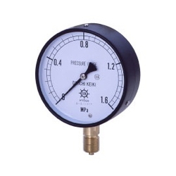 IPT General Pressure Gauge, SUS Type For Vapor, Rimless Type (A)