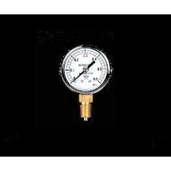 Pressure Gauge EA729BB-10