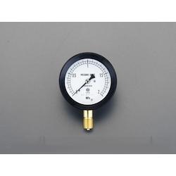 Sealed Pressure Gauge EA729DP-10