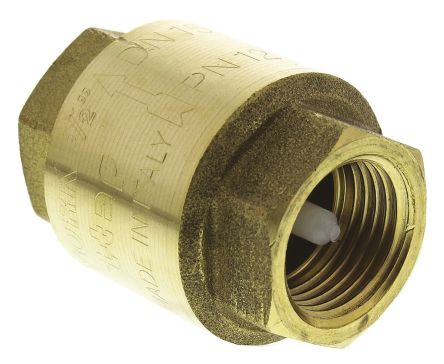 S.120 spring loaded non return brass valve 