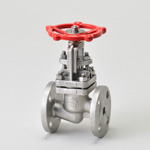 S Series 10K, Flanged, Globe Valve with Disc
