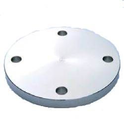 Stainless Steel Pipe Flange SUS F304 Water Supply Flange WBF F12