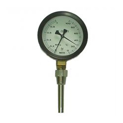 Bi-Metal Thermobarameter BTP Series - Vertical Type