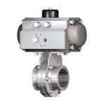Air Drive (Single-Action), Butterfly Valve