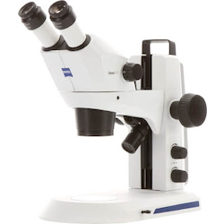 Stereomicroscope stemi508 ของ Greenough (ไฟส่องสว่าง แหวน / ไฟส่องเฉพาะ จุด สอง จุด )