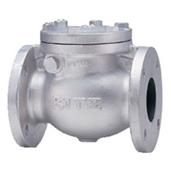 125FCO, เช็ควาล์ว/วาล์วกันกลับแบบสวิง เหล็กหล่อ Class 125