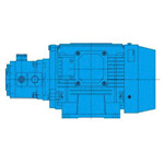 ปั๊มเดี่ยว ซีรีส์ VDR (13D)