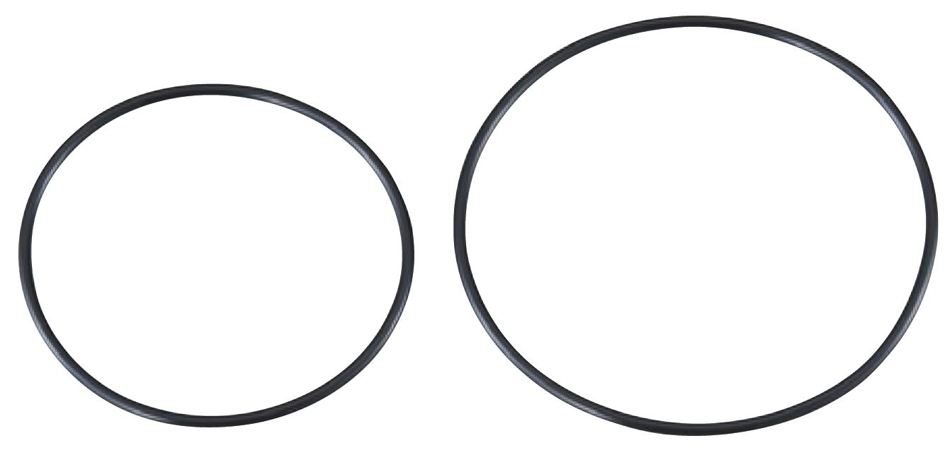 O-RING FOR PUMP HEAD -FOR MATSUI MACHINE-