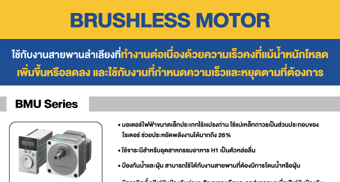 Brushless Motor