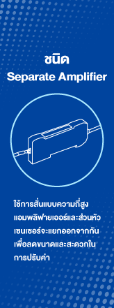 ชนิด Separate Amplifier