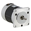 57 Series Brushless Motor