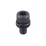 Hex Socket Head Cap Screw