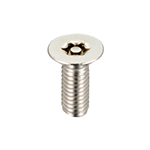 Tamper-Proof Screw